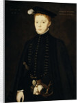 Henry Stuart, Lord Darnley, 1545 - 1567. Consort of Mary, Queen of Scots by Hans Eworth